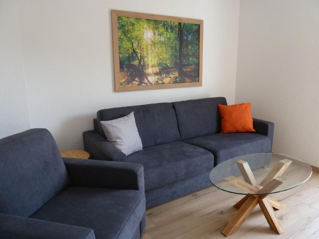 uma sala de estar com um sofá azul e uma mesa de vidro em Ferienwohnung Klose em Schmallenberg