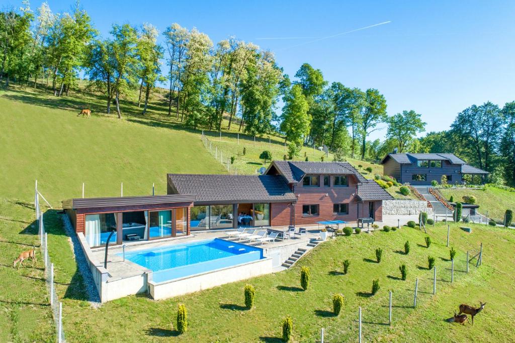 an aerial view of a house with a swimming pool at Ville Pačetina in Lepajci