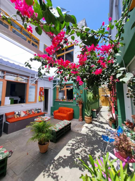 an outdoor patio with pink flowers and plants at Nomads Hostel Multicultural & Coworking in Salvador