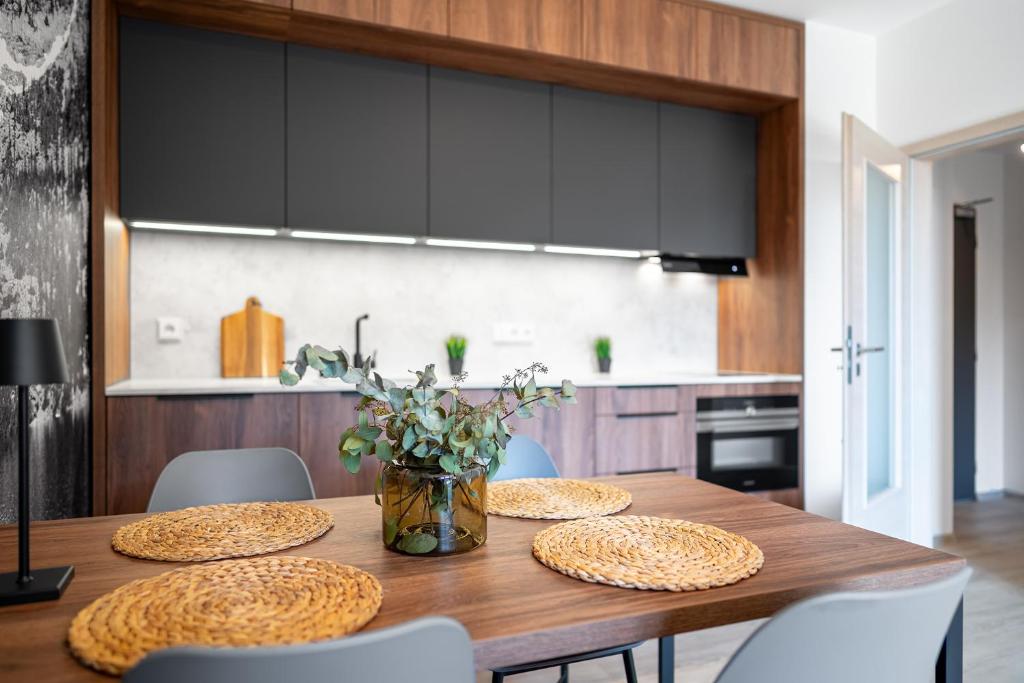 Kuchyň nebo kuchyňský kout v ubytování Apartmán nahoře v Dole