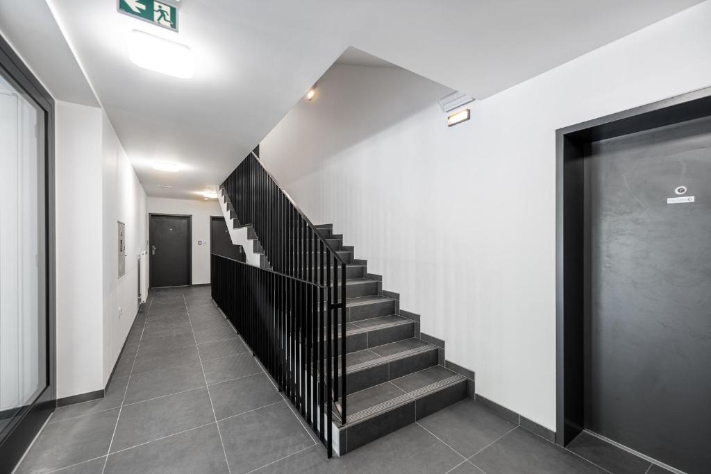 Fotografie z fotogalerie ubytování Apartmán nahoře v Dole v Černém Dole