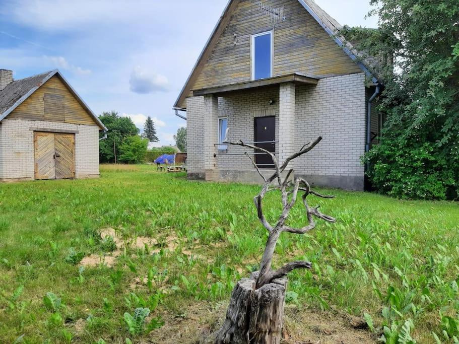 Zahrada ubytování House with spacious garden and a simple sauna