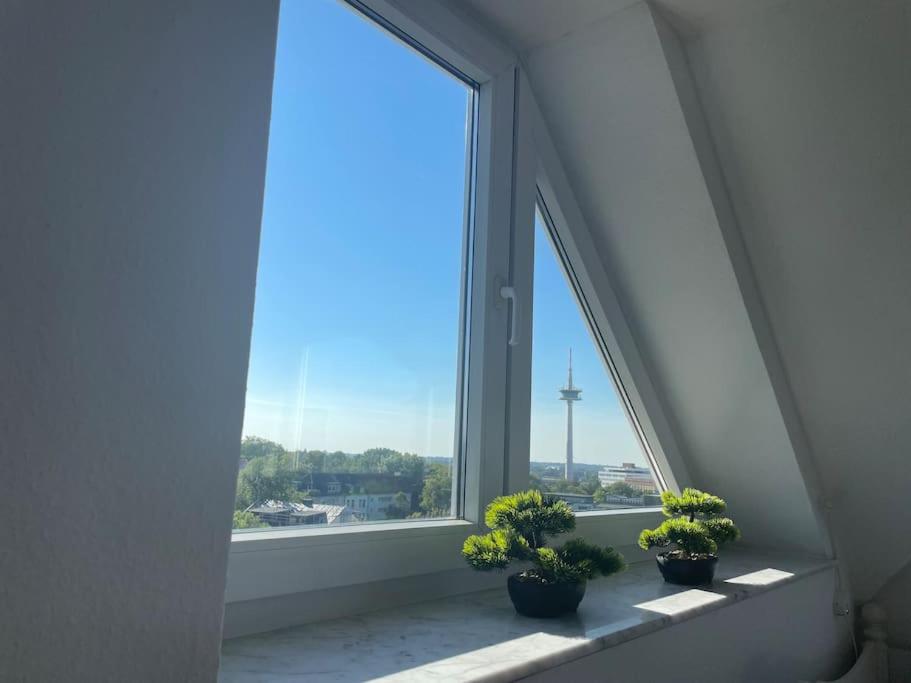 Über den Dächern von Essen في إيسن: ثلاثة خزاف من النباتات تقف على حافة النافذة