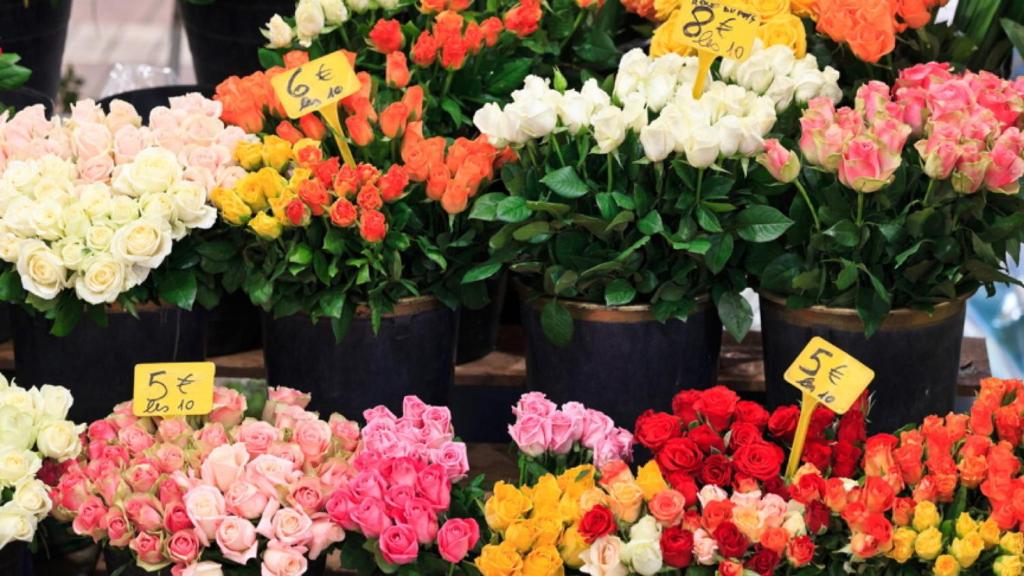 a bunch of different colored flowers for sale at a market at GRAY 2a6 in Cannes