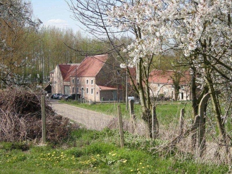 an old house in a field with trees and a road at De Verborgen Parel in Borgloon