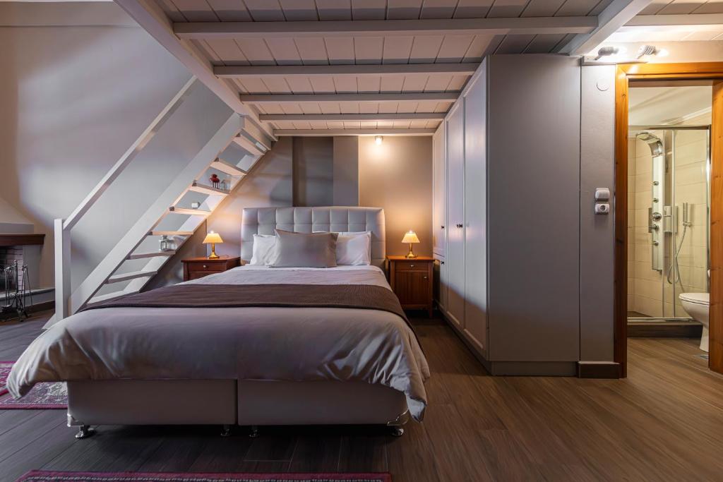 Ef Zin Hotel Arachova - 3