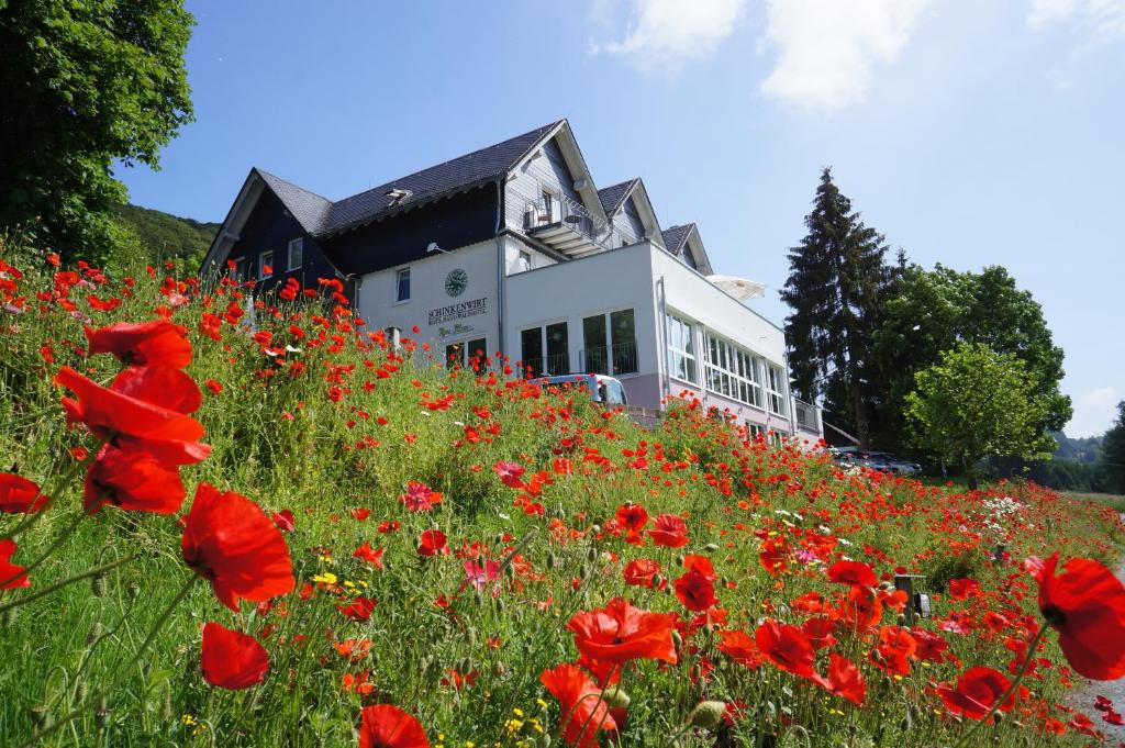 un campo de amapolas rojas delante de una casa en Waldhotel Schinkenwirt, en Olsberg