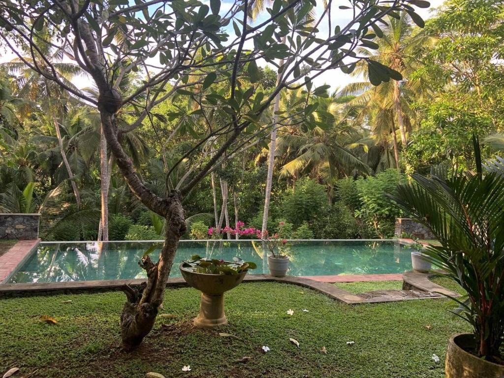 uma piscina num jardim com uma árvore em Sri Mathie Historic Estate em Habaraduwa Central