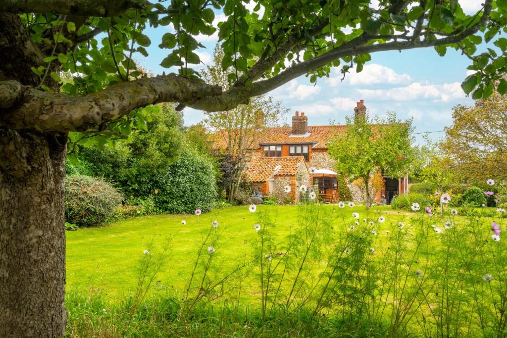 a house in a green field with a tree at Annie's Cottage - Big Skies Holiday Cottages in Sharrington
