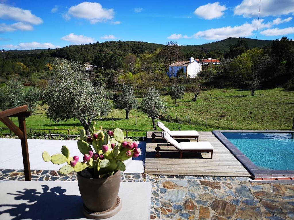 a patio with a pool and a vase of flowers at Casa Dos Galegos in Marvão