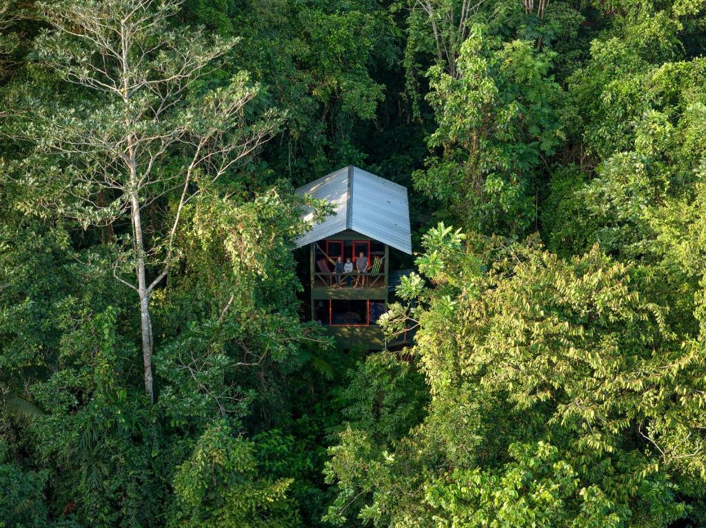 une cabane dans les arbres au milieu de la forêt dans l'établissement Yatama Rainforest Ecolodge, à Sarapiquí