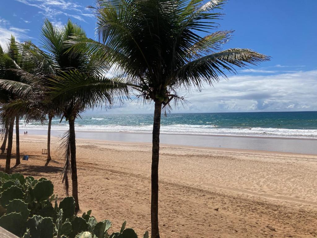 duas palmeiras numa praia com o oceano em AP. NA PRAIA-2/4 GDE-TÉRREO-100M DA PRAIA-FLAMENGO em Salvador