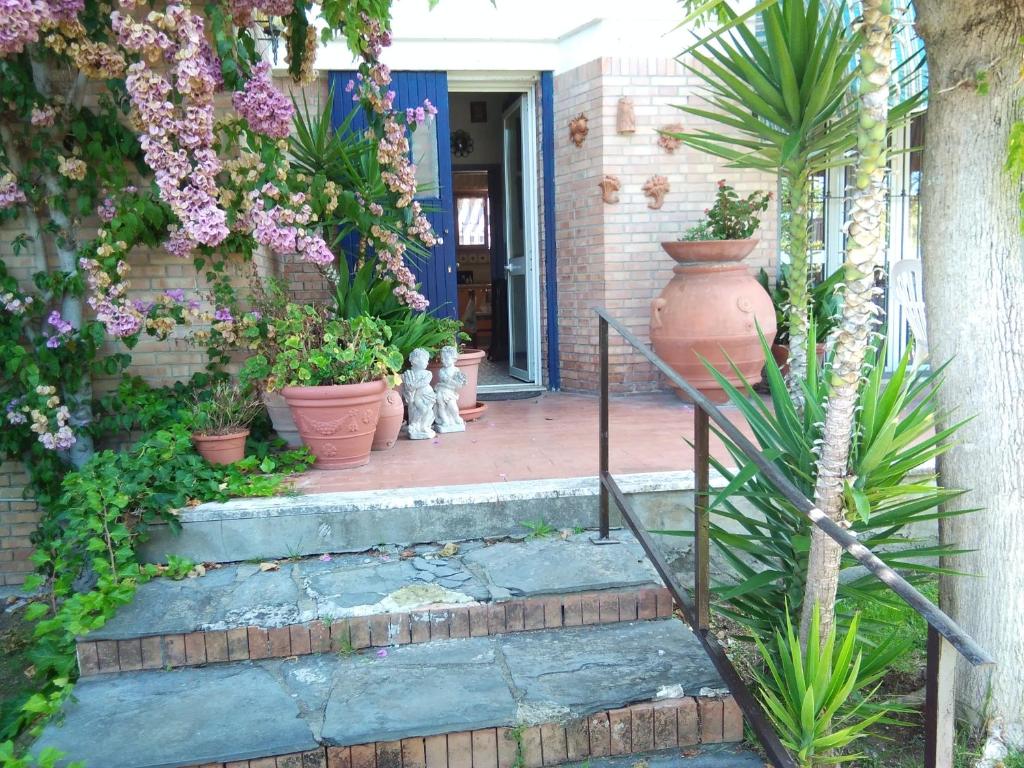 une maison avec un bouquet de plantes en pot et de fleurs dans l'établissement casa miglio, à Marina di Pietrasanta