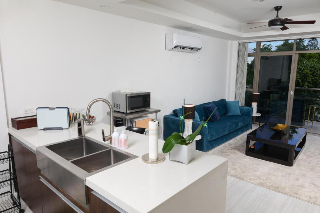cocina y sala de estar con sofá azul en Bella Studio Apartments - Lux Loft en Kingston