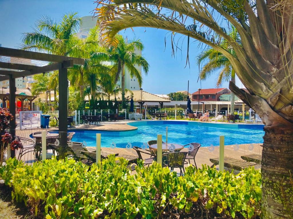 a swimming pool with chairs and a palm tree at Condomínio Encantador - Beto Carrero - 3 quartos in Penha