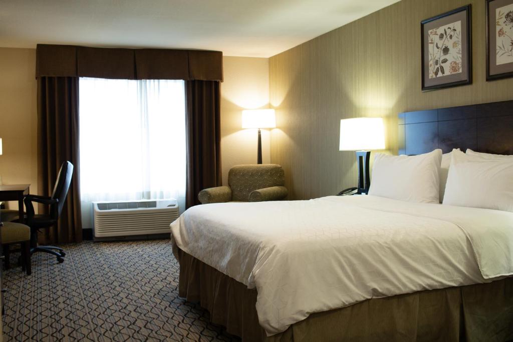 Holiday Inn Express & Suites - Williston by IHG - Standaard King Kamer