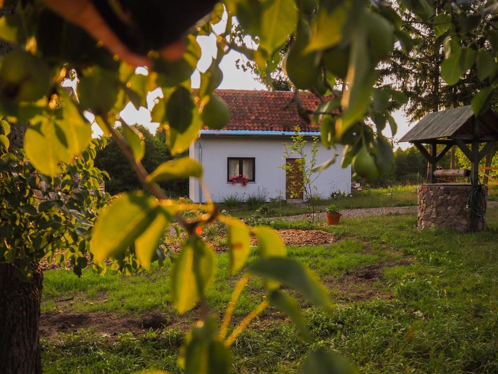 ein weißes Haus mit rotem Dach im Hof in der Unterkunft Po Prostu Dobro in Mrągowo