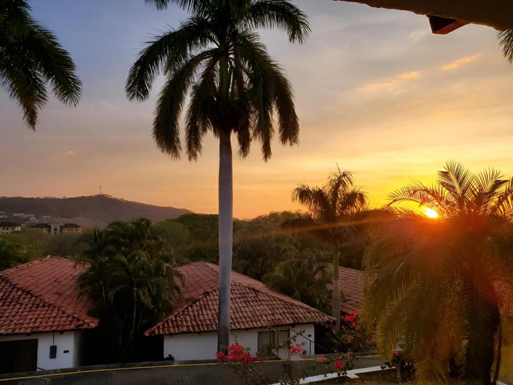 uma palmeira com o pôr-do-sol ao fundo em Casa de Encanto Tropical Villa em Playa Hermosa