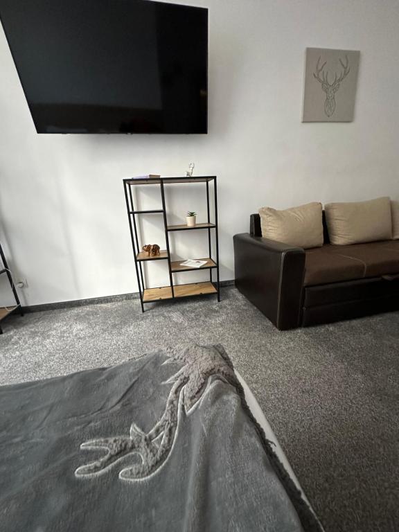a living room with a couch and a tv at Апартхотел Флора 213Б in Borovets