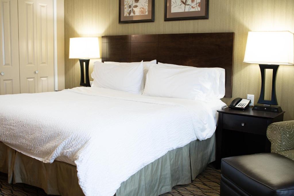 Holiday Inn Express & Suites - Williston by IHG - Standaard King Kamer