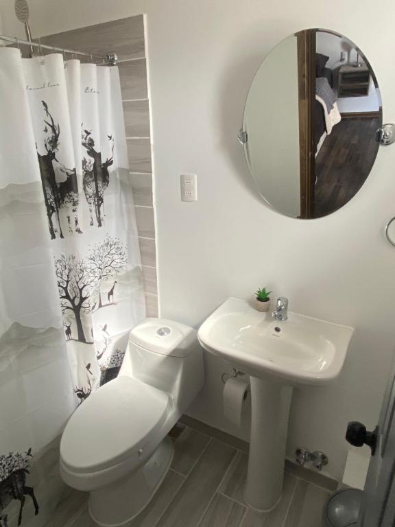 a bathroom with a toilet and a sink and a mirror at cabañas taty in Punta Arenas