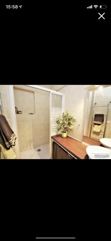 a bathroom with a shower and a sink and a toilet at Chez Nico in Nice
