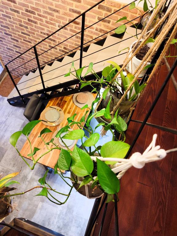 le Travertin - Loft