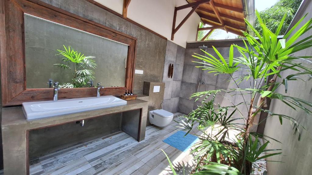 Zahrada ubytování Kandalama Lodge