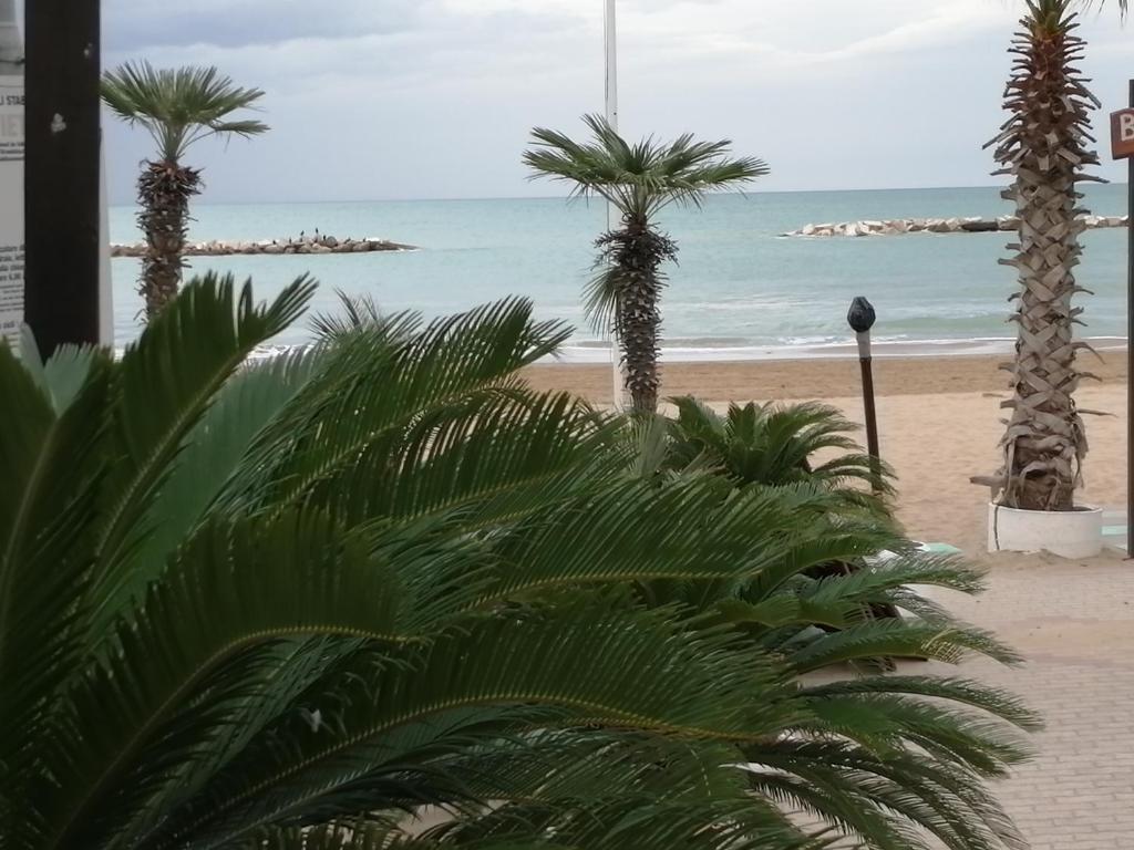 Blick auf einen Strand mit Palmen und das Meer in der Unterkunft Casa di Giorgio in Pesaro