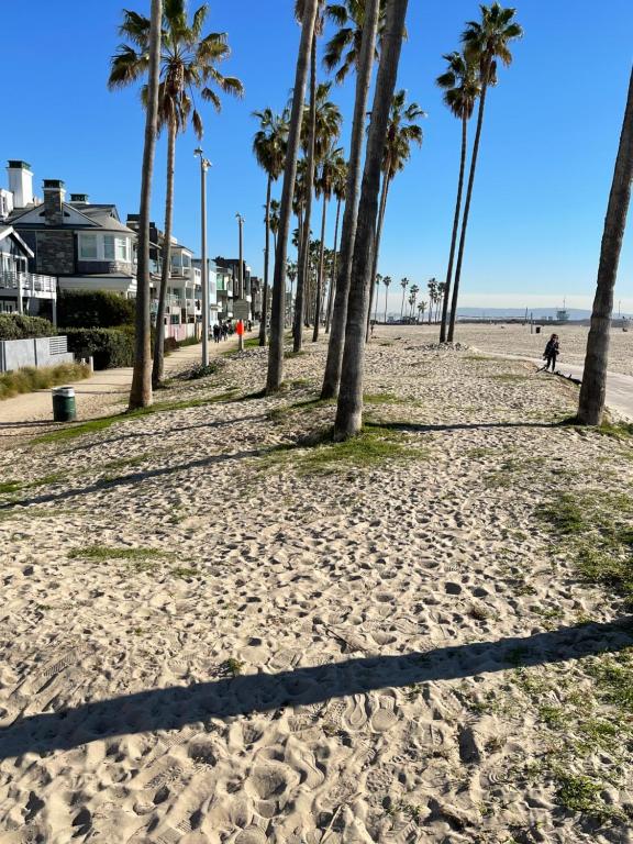 ロサンゼルスにあるHouse on The Beachの砂浜のヤシ並木