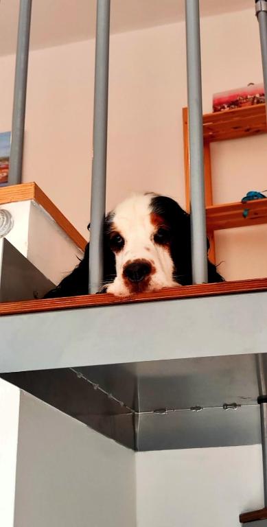 Gemme Fiorentine Apartments in front of the train station 5 minutes from the centre Free parking - 3