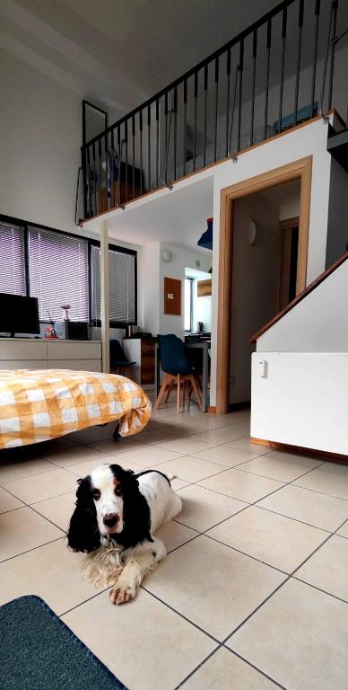 Gemme Fiorentine Apartments in front of the train station 5 minutes from the centre Free parking - 9