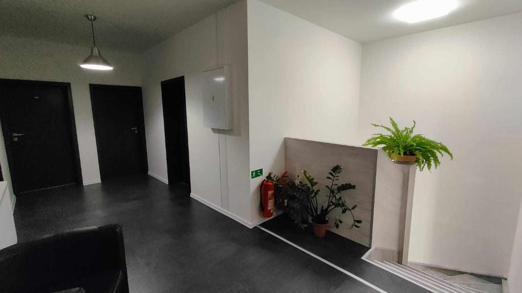 TV a/nebo společenská místnost v ubytování Apartmány u golfu