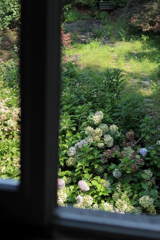 Natura tra bosco e lago - Apartment Mit 2 Schlafzimmern Und Terrasse