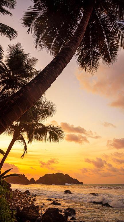 a sunset on a beach with two palm trees at Suites Amma Noronha in Fernando de Noronha