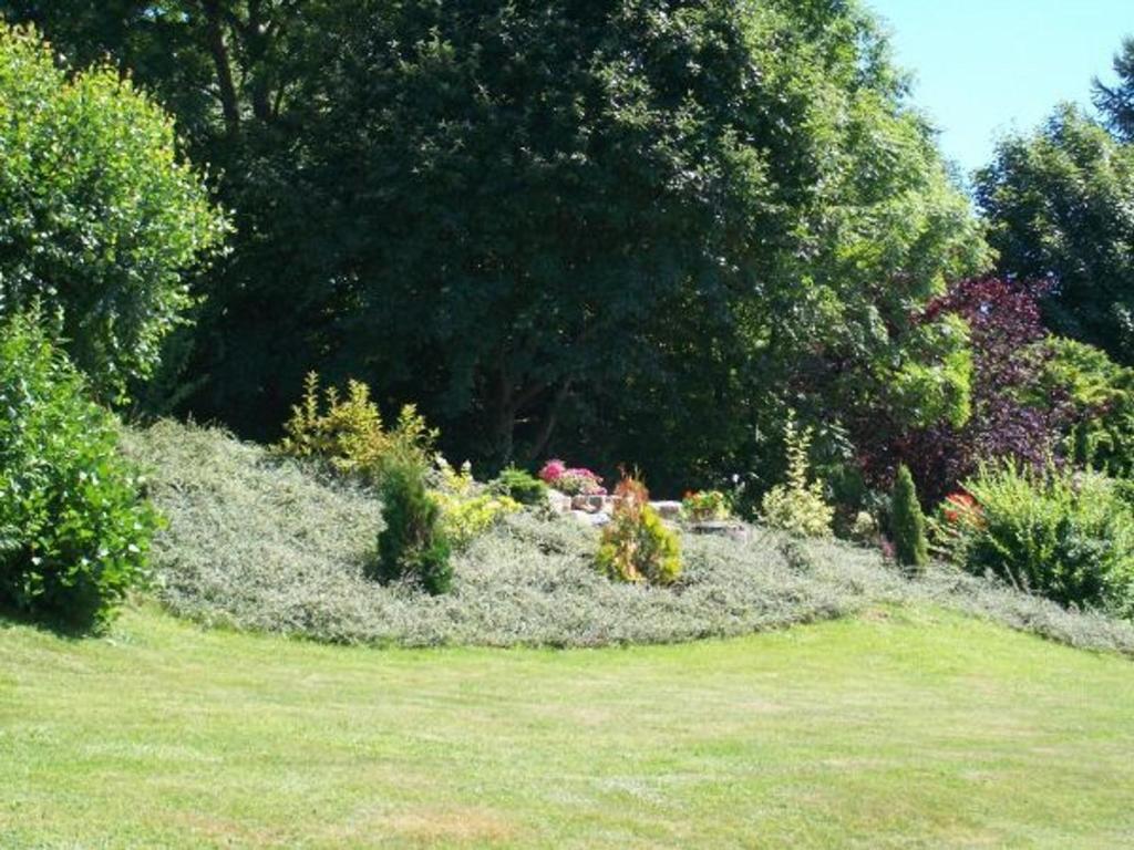 a garden with a bunch of flowers and trees at Gîte Anould, 4 pièces, 6 personnes - FR-1-589-2 in Anould