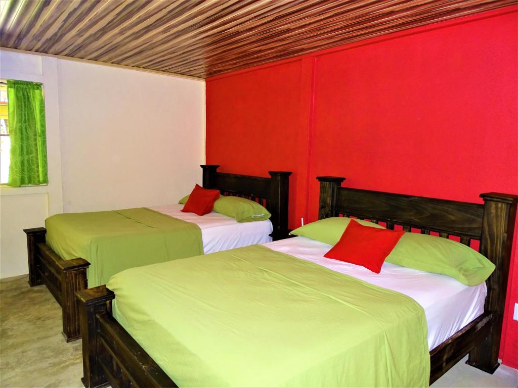 two beds in a room with red and green at Hostel Osa Tucan Corcovado in Drake