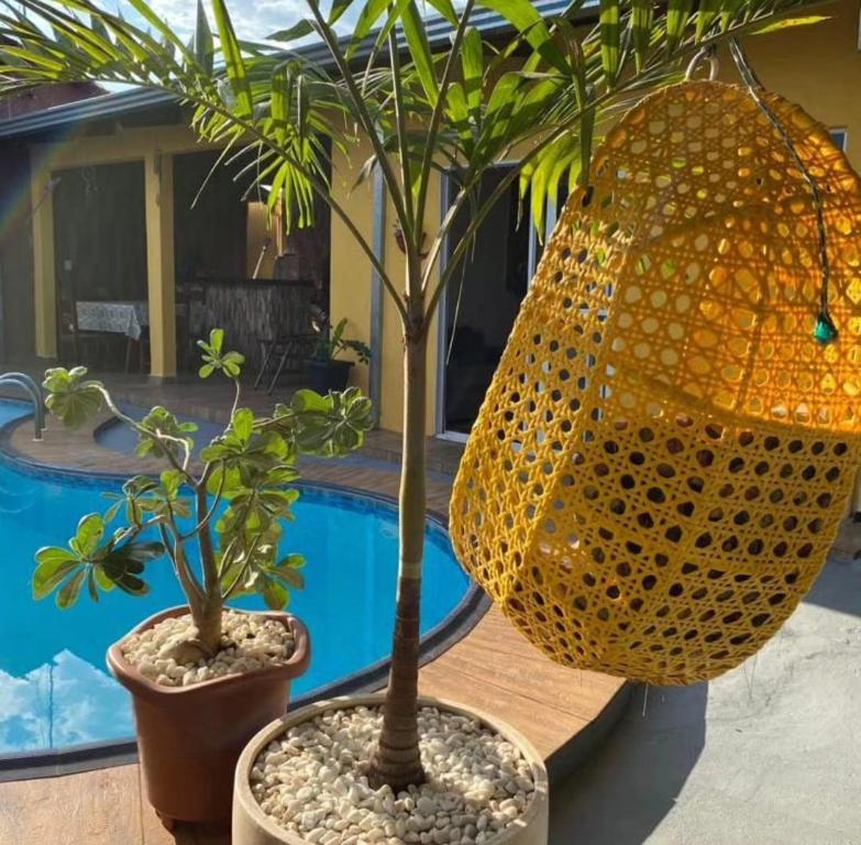 two potted trees in pots next to a pool at Pousada Luciana Dias in Palmas