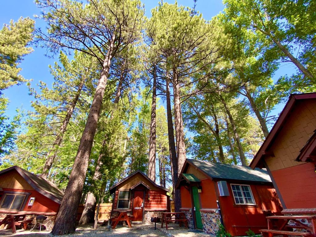 une cabane dans les bois avec des arbres en arrière-plan dans l'établissement The Village Cabins, à Big Bear Lake