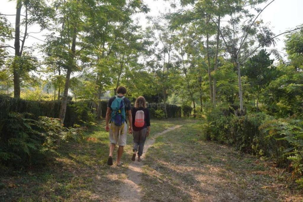 Eco Hub Africa Cottages, Coworking And Nature Escape