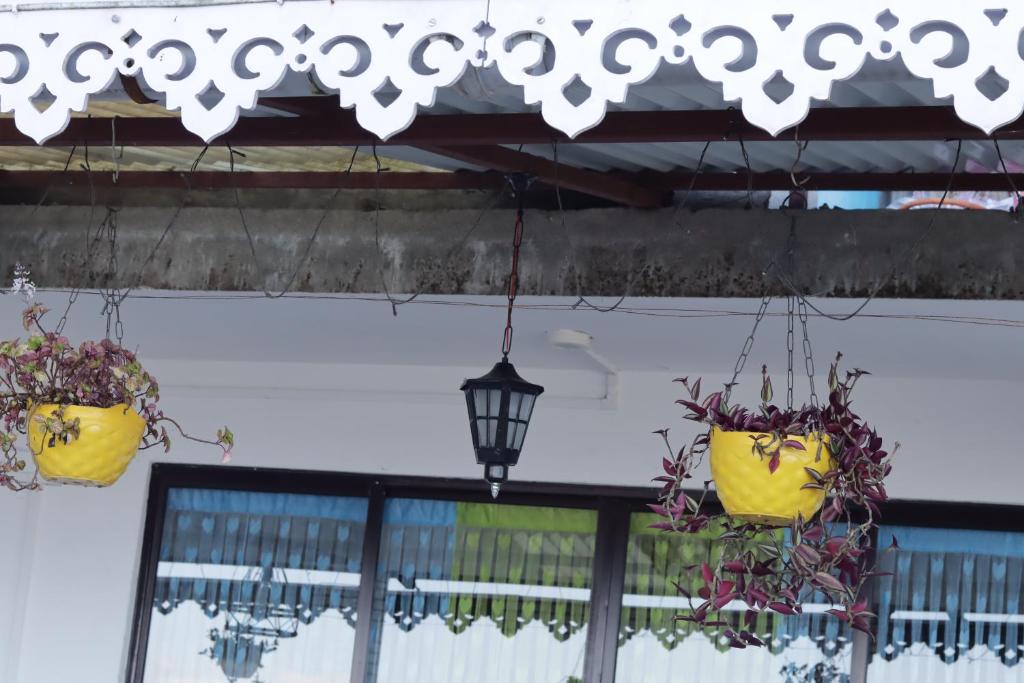 Fotografie z fotogalerie ubytování Wonder Hill Parivaar homestay v destinaci Dárdžiling