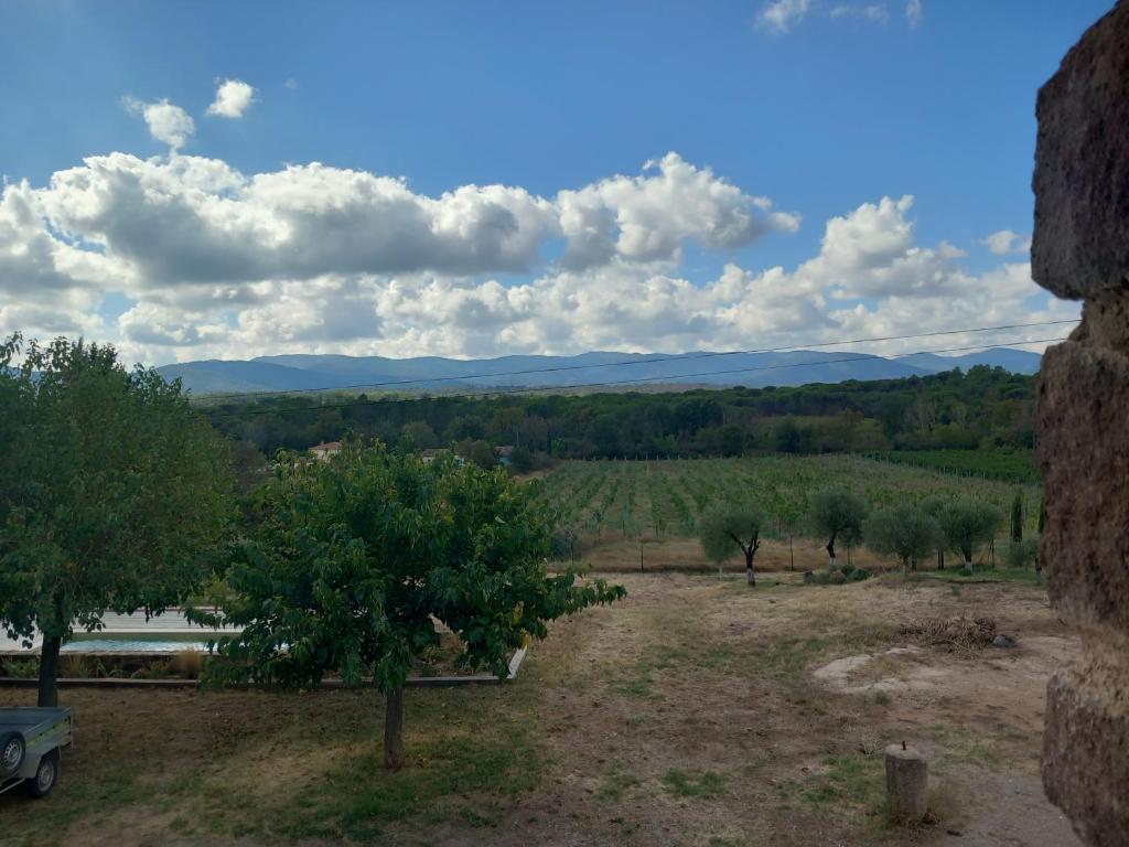 Příroda nedaleko apartmánu