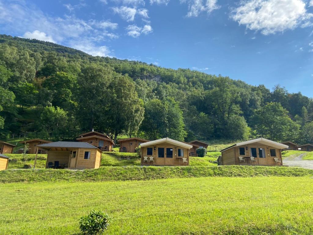 um grupo de chalés num campo em frente a uma montanha em Winjum Cabin Aurland Stegastein em Aurland