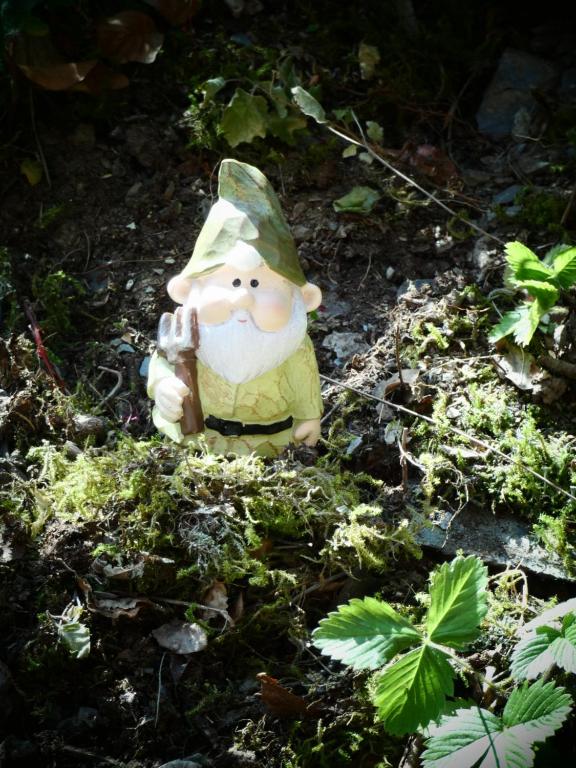 Fotografie z fotogalerie ubytování Le Sentier des Lavandes v destinaci Vresse-sur-Semois