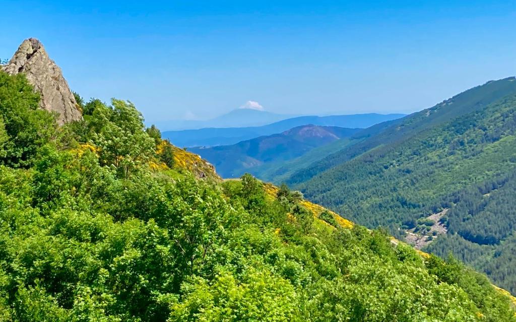 a view of a green valley with mountains in the background at Gîte ylangylang in Saint-Paul-le-Jeune