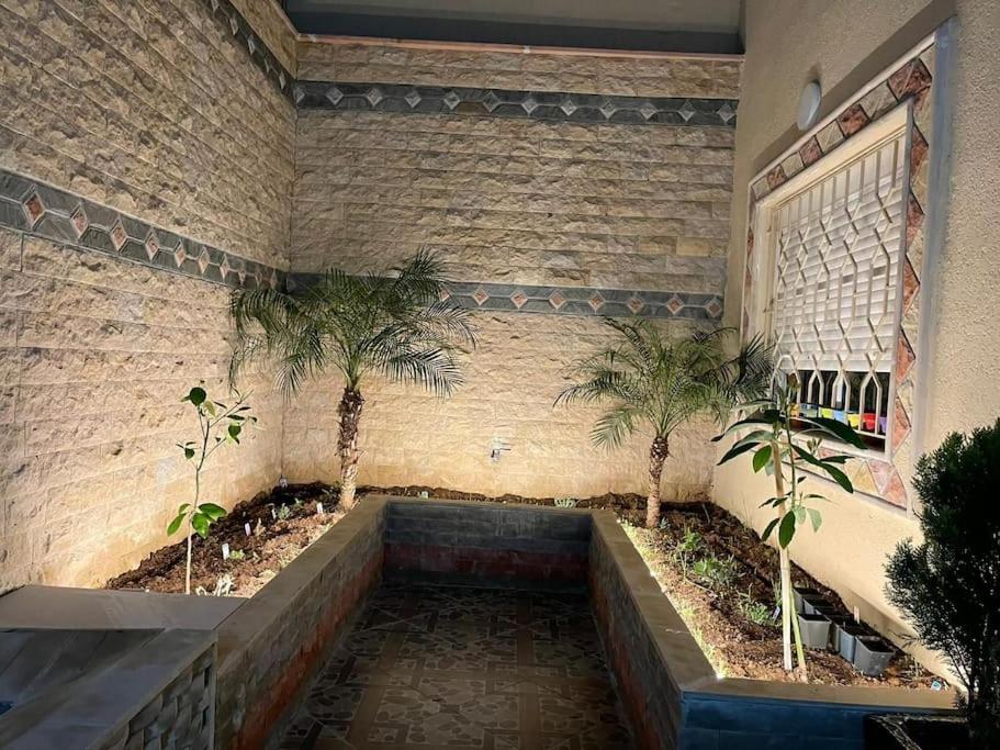 Fotografie z fotogalerie ubytování Apartment in Larache Marokko v destinaci Larache