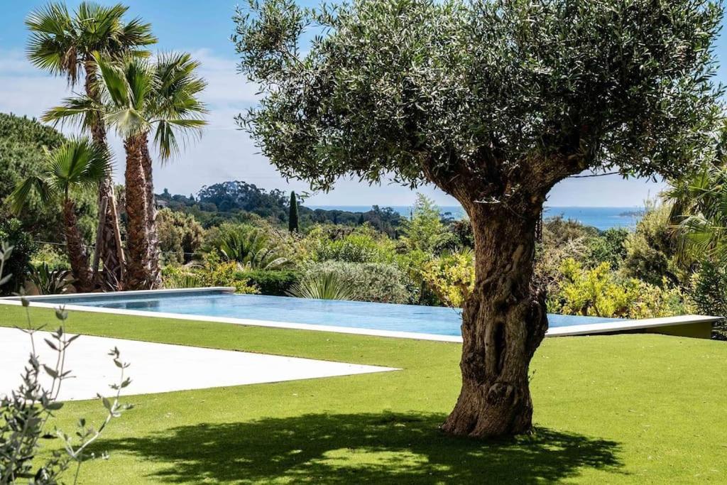 un arbre dans l'herbe à côté d'une piscine dans l'établissement Luxueuse villa de 4 suites, climatisation, vue mer, piscine, à Grimaud