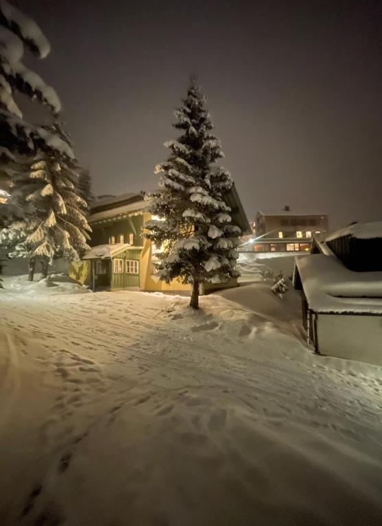 Arlberg Stuben - das kleine, feine Hotel v zimě