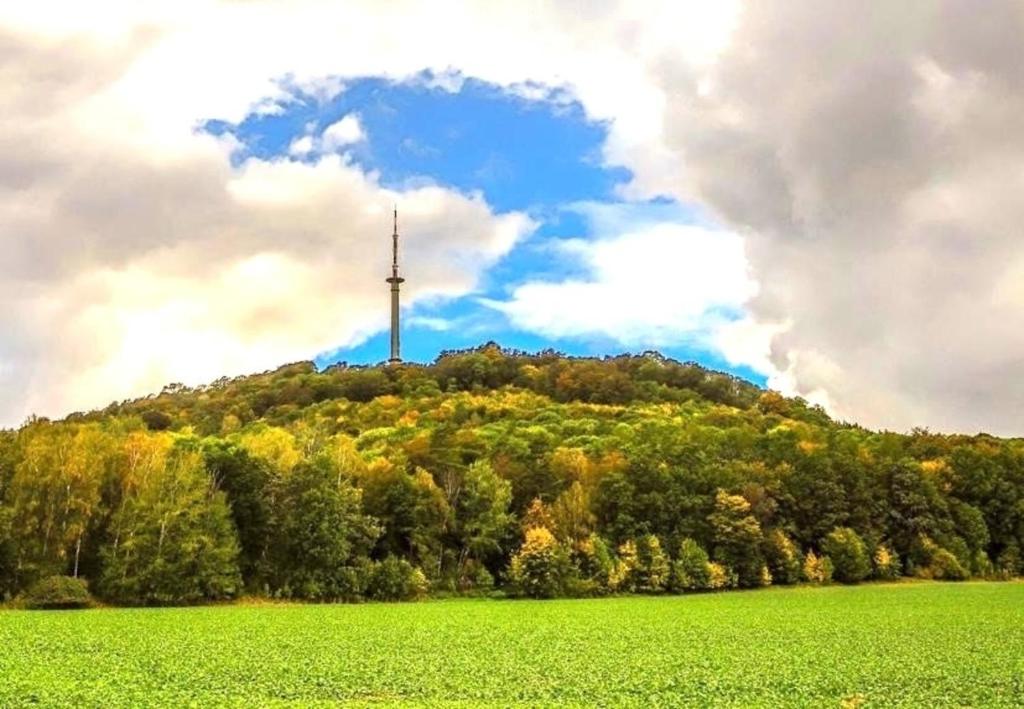 uma colina com uma torre de rádio em cima dela em Pension Anna em Löbau