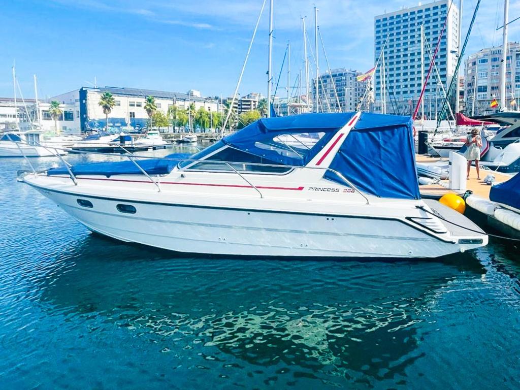 Ein weißes Boot liegt in einem Hafen. in der Unterkunft Las Terrazas de Vigo in Vigo